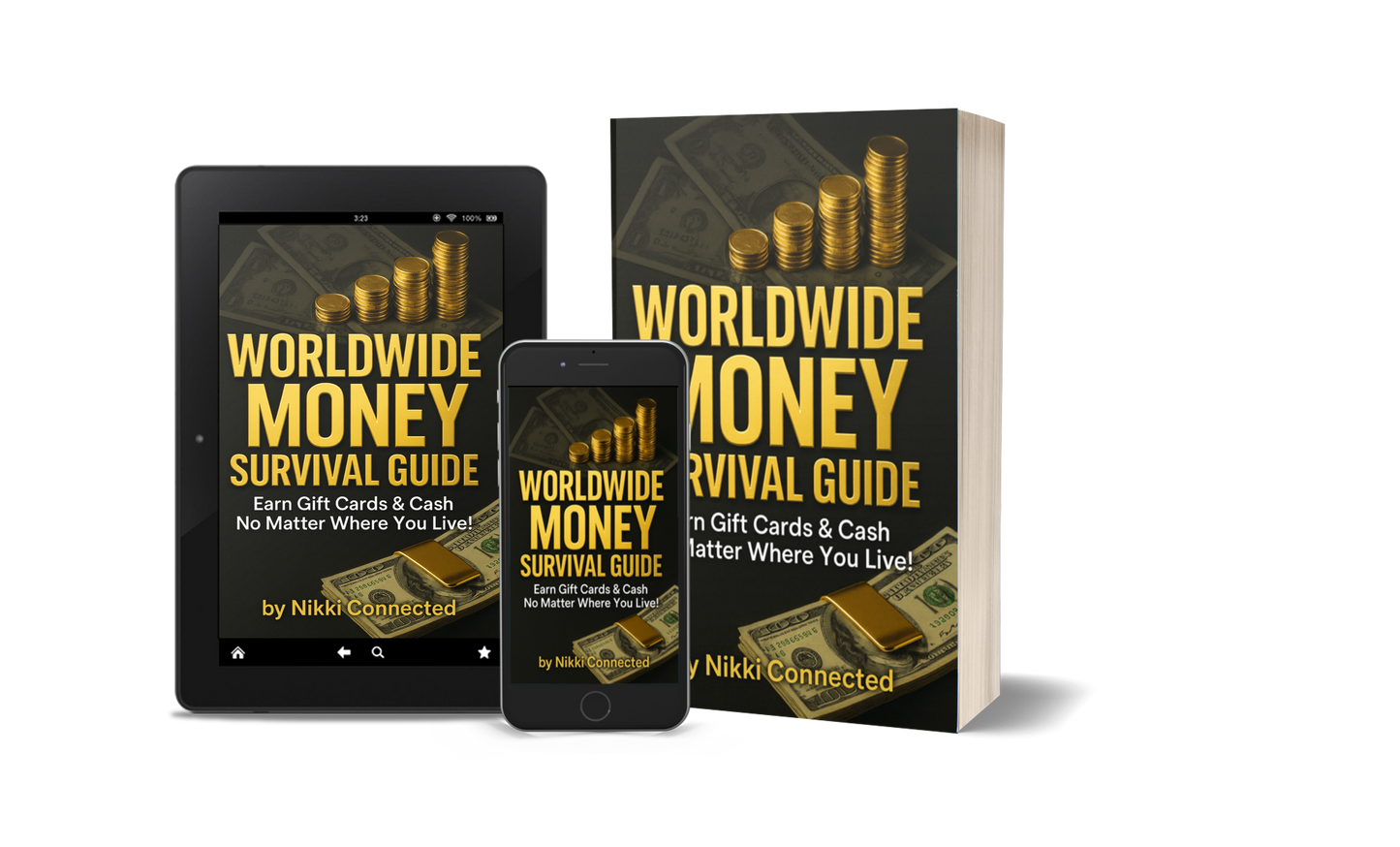 Worldwide Money Survival Guide